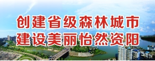 用力逼操网站创建省级森林城市 建设美丽怡然资阳